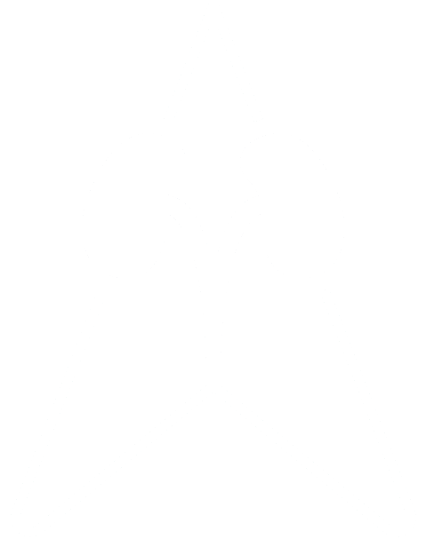 Logo Dr. Alessandro Prudente — Urologista